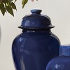 Plum & Post Koa Lidded Ginger Jar Small - Navy Ceramic Décor - 3 of 3