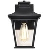 Nuvo Lighting Jasper 1 - Light Lantern in  Matte Black - 4 of 4