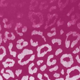 raspberry ombre cheetah