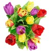 Madd Capp Puzzles: TULIP 350 Piece Jigsaw Puzzle - 2 of 4