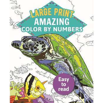 Amazing Color by Numbers Large Print - (Sirius Large Print Color by Numbers Collection) by  Arcturus Publishing Limited (Paperback)