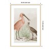 Amanti Art Antique Chroma Waterbirds II by  Wood Framed Wall Art Print - 2 of 4