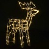 Aghana Digitals 3 Reindeer Christmas Light Display - 229 LED Warm White USB-Powered Indoor/Outdoor - 4 of 4