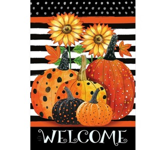 Briarwood Lane Fall Garden Flag 12x18 For Outdoor Pumpkins and Stripes For Fall Garden Flag Flags For Outside - 1 of 4