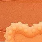 5 in 1 montessori toys