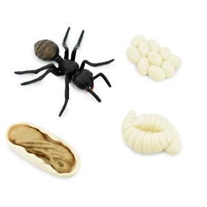 Collectible Wildlife Gifts | Ant, Life Cycle of a Black Ant, 4 Stages, Museum Quality, Hand Painted, Rubber Insect, Model, Gift,   3"  CH477 BB150 - 1 of 4
