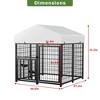 Stainless Steel Dog Kennels - 4 of 4