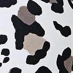 little leopard