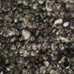 taupe, medium gray, jet black