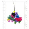 Prevue Pet Products Playfuls Preen & Pacify Over the Rainbow Bird Toy 62636. - 2 of 3