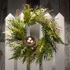 Sullivans Artificial Fern Twig Nest Wreath - 3 of 4