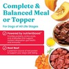 Solid Gold Air Dried Topper Beef Flavor Dry Dog Food - 4oz - 3 of 4