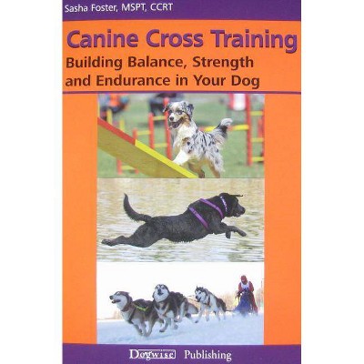 Canine Cross Training - by  Sasha Foster (Paperback)
