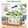 iMountek"Glass Bulb Plant Terrarium with Wooden Stand & Metal Swivel for Hydroponics - Desktop Vase"Wood - 3 of 4
