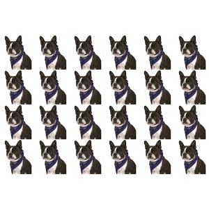 24 Pack Cotton Paisley Dog Bandanas Bulk Set for Groomers Shelters or Parties - 1 of 4