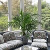 National Plant Network Live Indoor/Outdoor Majesty Palm Plant - 1ct 2.5qt - 2 of 4