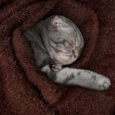 Large Brown Sherpa Fleece Waterproof Pet Blanket