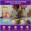 Wellness Complete Health Healthy Indulgence Shreds with Skipjack Tuna & Shrimp in Light Sauce Grain-Free Wet Cat Food Pouches, 3-oz, Case of 24 - 2 of 4