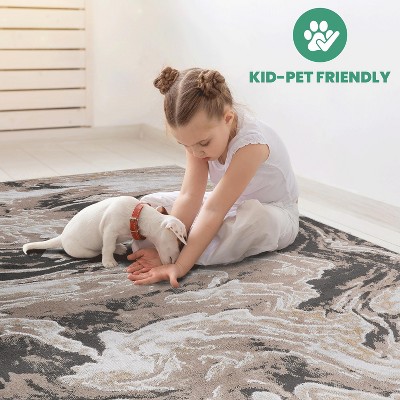 Vynxaria LOOM & LUXE 2' x 3' Abstract Area Rug - Stylish, Stain-Resistant, Non-Shedding