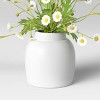 11" x 9" Artificial Daisy Plant Arrangement in Ceramic Pot White - Threshold™ - image 4 of 4
