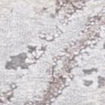 grey/taupe