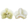 Unique Bargains Women's Phalaenopsis Faux Pearl Duckbill Clip 2 Pcs - 3 of 4