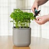 Vego Garden Self-Watering Mini Rectangular Indoor Outdoor Planter Pot with Trellis 7"x7"x14" - 4 of 4