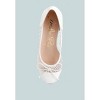 Tudum Rhinestone Detail Mesh Ballerinas - 4 of 4