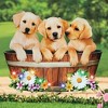 Collections Etc Puppies in LED Lighted Solar Powered Bucket Garden Stake - 2 of 2