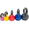 Sunny Health & Fitness Vinyl Coated Kettlebell - 4 of 4
