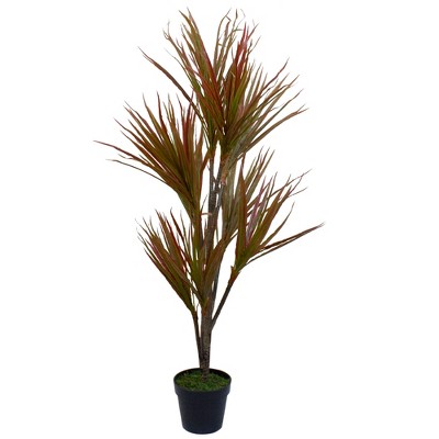 Northlight 55" Green and Red Artificial Dracaena Potted Plant