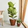 XINGHANZHENXUAN Brown 2-Pack Plastic Planter Pots, Wood-Look Design for Indoor, Outdoor Plants - 2 of 4