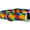 Country Brook Petz Premium Dog Collar - Groovy Collection - 4 of 4
