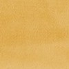 camel gold