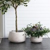 LuxenHome 11" Dia Round Concrete Planter Indoor Outdoor Large Plant Pot Handmade Rustic Distressed Ribbed Flower Pot for Home Garden Patio Off-White - 4 of 4