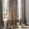 The Lakeside Collection Lighted Twinkle Trees - 24" - 4 of 4