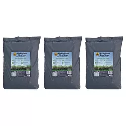 Wakefield  WFBCSC-BAG-40 1 Cu Ft Bag Premium Biochar Organic Garden Soil Conditioner (3 Pack)