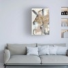 Trademark Fine Art -Jennifer Goldberger 'Golden Blush I' Canvas Art - 2 of 4
