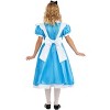 HalloweenCostumes.com Girl's Deluxe Disney Alice Costume, Disney Princess Costumes for Kids, Blue Dress Fairytale Cosplay - 3 of 4