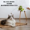 Unique Bargains Cat Teaser Windmill Style Handheld with Bell Brown - 4 of 4