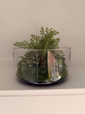 Guest review image 1 of 1, zoom in