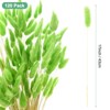 Unique Bargains Artificial Dried Flowers Realistic Look Pampas Bunny Tails Grass 17 Inch - 3 of 4