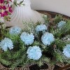 Floral Home 5" Stem Long Blue Carnation Pick - 100-Piece - 2 of 4