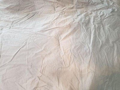 Nea Cotton Printed Comforter Set : Target