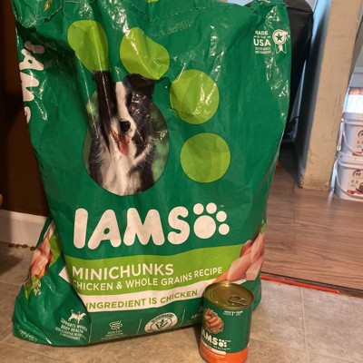 is iams wet food good for dogs