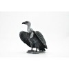 Collectible Wildlife Gifts | Vulture, Griffon, Museum Quality Plastic Toy Hand Painted Model      3 1/2" - 4 of 4