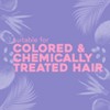 OGX Biotin & Collagen Extra Strength Volumizing Shampoo for Fine Hair - 13 fl oz - 4 of 4