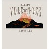 Adventure Society Hawaii Volcanoes Adult Long Sleeve Hoodie - 2 of 2