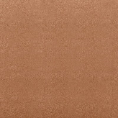 Caramel Leather Mid-Century Modern Metal Accent Chair