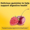Nature Made Digestive Probiotics 4 Billion CFU per serving + Energy B12 Gummies - Raspberry & Cherry - 50ct - 4 of 4